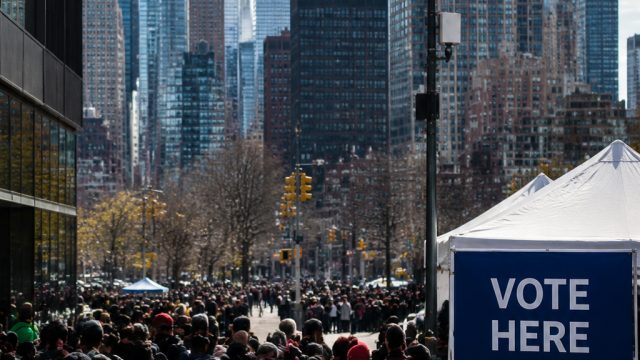 New York's Primary Elections: A Critical Test for Progressive Politics | poho, murah4d top